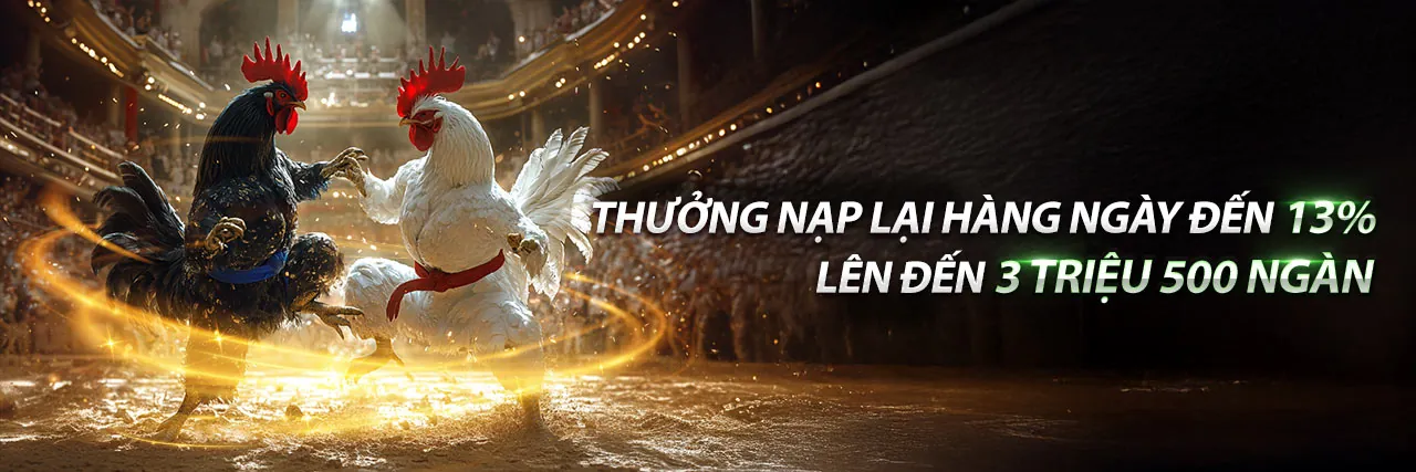 Ưu Đãi Mới Nhất MP66 2026