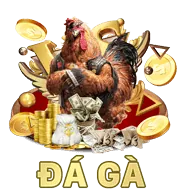 Đá Gà MP66